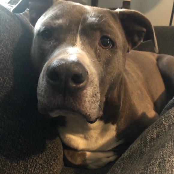 Meet your Posher, Jean - Picture 7 of 17